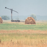 Rend a lelke mindennek