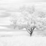 Élet a felhők felett